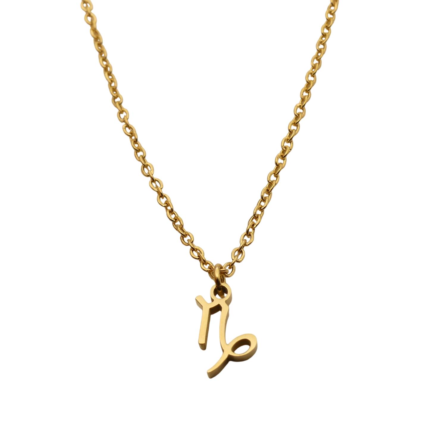 Zodiac Pendant Necklace