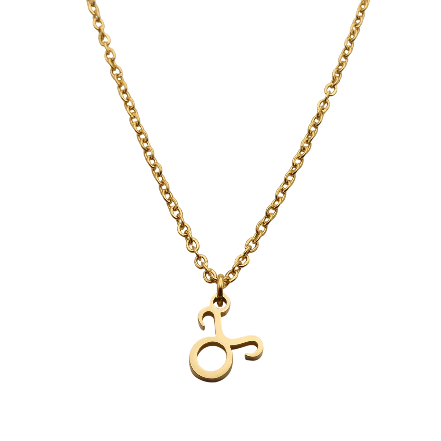 Zodiac Pendant Necklace