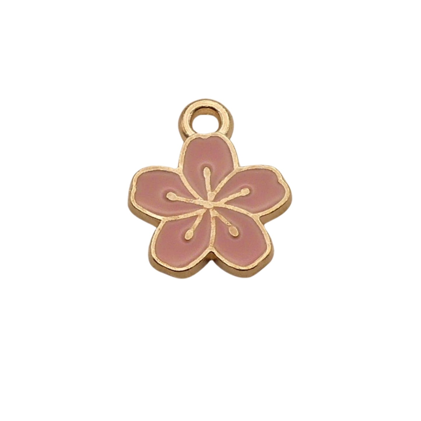 Nature Charms